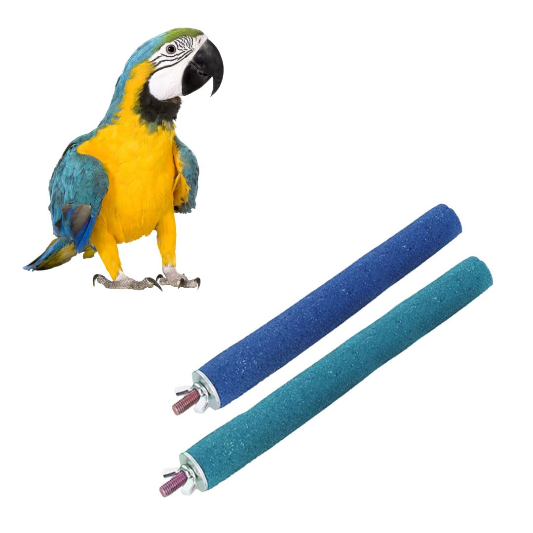 See full amazon price history chart for Sage Square Perch Combo of 6 & 10 inches Natural Wood Rough Sand Perches | Exercise, Grinding Nail, Playstand, Training, Cage Accessories |Finches, Parrot, Budgies, Cockatiels (Pack of 2) Sage Square Perch Combo of 6 & 10 inches Natural Wood Rough Sand Perches | Exercise, Grinding Nail, Playstand, Training, Cage Accessories |Finches, Parrot, Budgies, Cockatiels (Pack of 2) (B0CPF4D8F1) Amazon Price History, Amazon Price Tracker