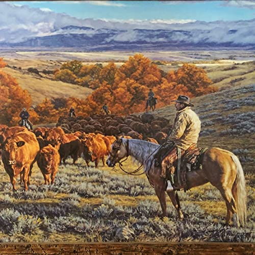 Amazon.com: Mornings On Horseback : Mornings On Horseback: Books