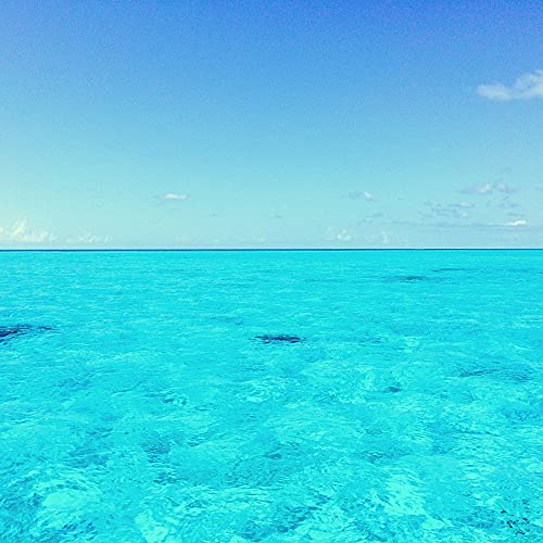 Play Music for Coffee at the Beach (Trumpet, Soprano Sax, Tenor Sax and