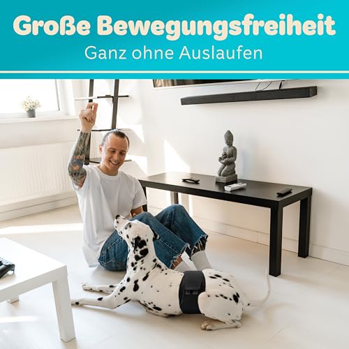 HUND IST KÖNIG Hundewindeln für Rüden [3 STK] Saugstarke Hundewindeln Rüde | Bequeme Hunde Windeln bei Inkontinenz Hund - Umweltfreundliche Rüdenwindel waschbar | Hundewindel leicht zu reinigen