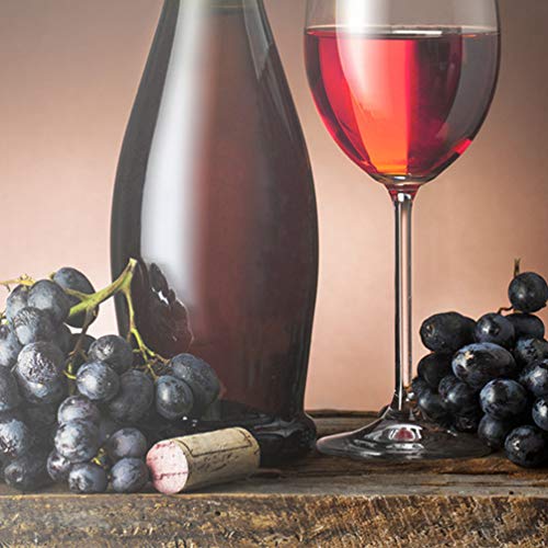 NICEXMAS 5 Peças de Aço Inoxidável para Despejar Garrafas de Aço Inoxidável Bico Cônico de Licor de