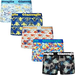 BestSale247 5er Pack Damen Mädchen Boxershorts Unterwäsche Unterhosen Hipsters Panties aus super weicher Baumwolle (5er Pack/Farbenmix 8807, M)