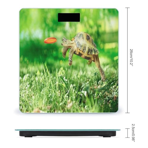 Báscula Digital de Baño Smart Scale con Cristal Templado miniatura 2