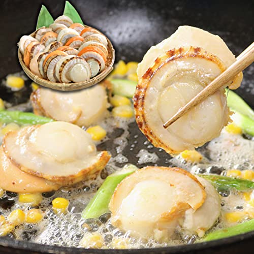 ܂돈 kCY {Cق 800g 16`20ʓ  2LTCY [[{Cz^e]