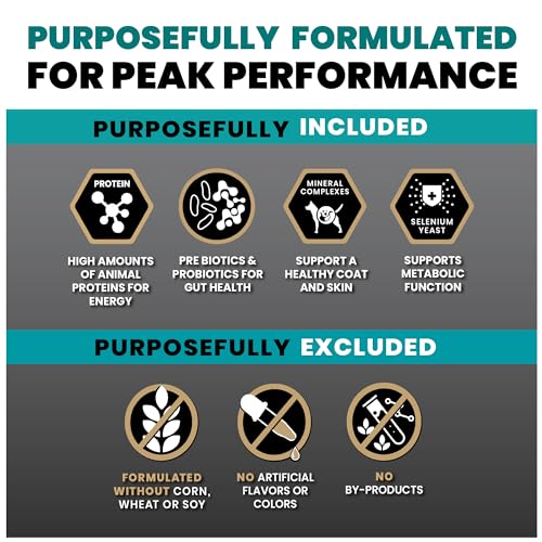 VICTOR Super Premium Dog Food – Hi-Pro Plus Dry Kibble – High Protein Dog Food with 30% Protein – Beef, Chicken, Pork, Fish Meals, Gluten Free - for High Energy and Active Dogs & Puppies, 40lbs