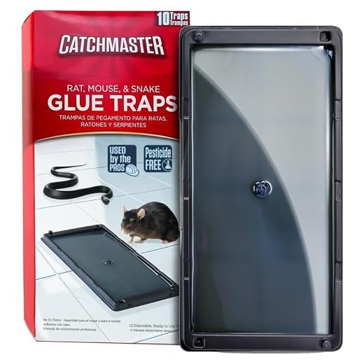 Baited Glue Traps by Catchmaster - 10 Pre-Baited Trays, Ready to Use Indoors. Rat Mouse Snake Exterminator Plastic Sticky Adhesive Easy No-Mess Simple Non-Toxic Disposable - Made in the USA