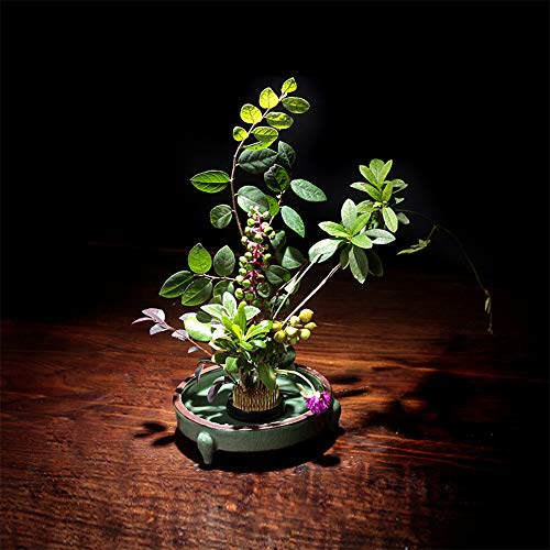 SteelFever Hochwertigem Blume Frosch rund Halterung für Arrangements, Größe 6 x 6 cm Blumensteckiggel