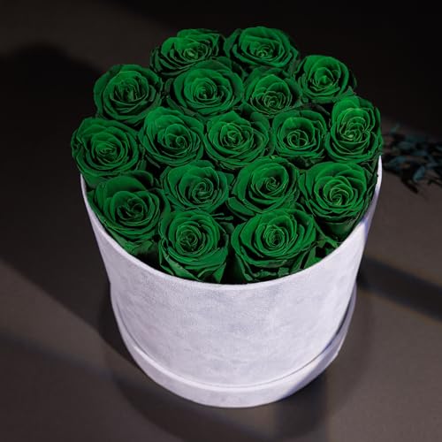 17 Flowers in a Luxury Suede Box, Birthday Gifts for Women, Preserved Flowers, Mothers Day Roses Gift for Mom, Dark Geen