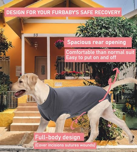 Image of Dog Surgery Recovery Suit, Recovery Suit for Dogs Male Female Spay & Neuter, Anti-Licking Surgical Onesie for Dogs After Surgery Wear, Dog Cone Alternative (Blank Grey, XL)