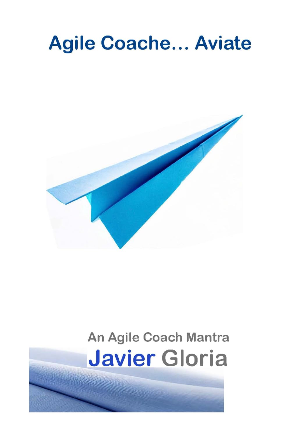 Agile Coach... Aviate!: An Agile Coach Mantra