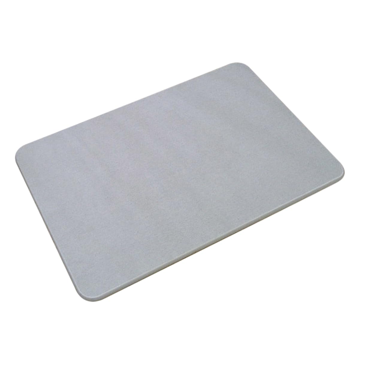 Diatomite Tapis de Bain Absorbant Antidérapant, Sol Ménager