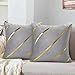 Lot de 2 Housses de Coussins en Velours Coussin Velours Gris 45x45 avec Or Rayures Coussin Décoratif Canapé Doux Carré Moderne Simple Taie d'oreiller pour Canapé Domicile Chambre Decoration Maison