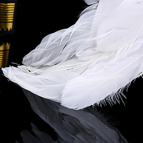 Inception Pro Infinite Ali - Angelo - Diavolo