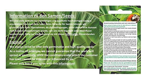 Pz - 10x Aloe Lineata Succulente Camera Garten Piante - Semi B635 - Seeds Plants Shop Samenbank Pfullingen Patrik Ipsa - Image 4