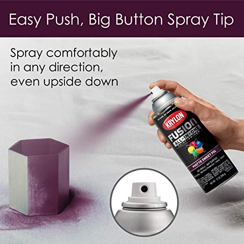Image of Krylon Fusion All-In-One Adhesive Spray Paint for Indoor /Outdoor Use, 12 oz, Sweet Fig
