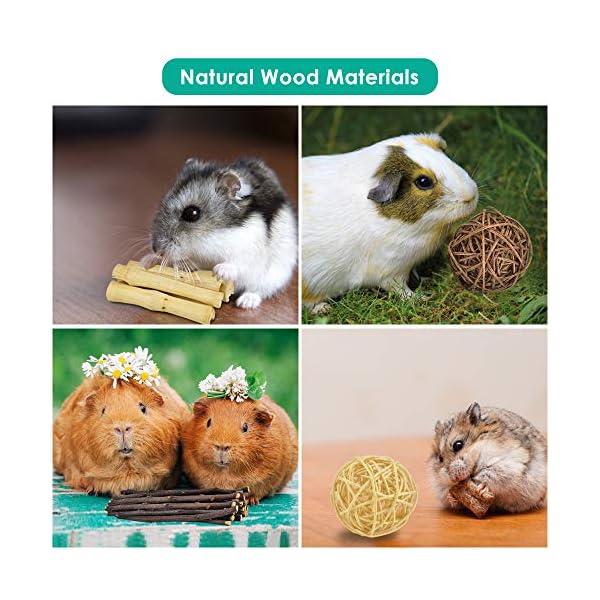 Erkoon new 12 pack hamster chew toys gerbil rat guinea pig chinchilla chew toys accessories, natural wooden dumbbells exercise bell roller teeth care molar toy for rabbits bird rabbits hamster gerbil - image 7