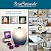 Scentsationals Wax Melt Warmer, Edison Collection Anchorage - Candle Wax Melter for Fragrance Cubes and Tarts