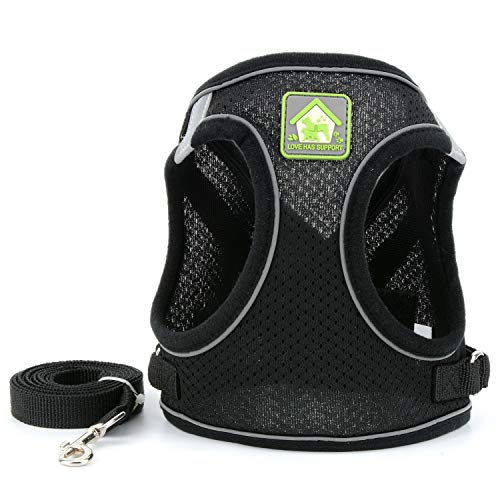 Zunea Small Dog Harness and Lead Set No Pull Puppy Vest Harnesses Adjustable Reflective Soft Mesh Step-in Pet Cat Harness Escape Proof for Walking Bright Colors for Dogs Black M - Image 3