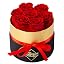 Red 7 Roses