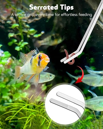 Image of Pawfly Aquarium Coral Feeder Kit, 13.7 inch & 15.7 inch Long Tube with 11 inch Long Tweezers, Coral Food Feeders for Reef Marine Fish Shrimp, Long Acrylic Syringes with Stainless Steel Aquarium Tweezers