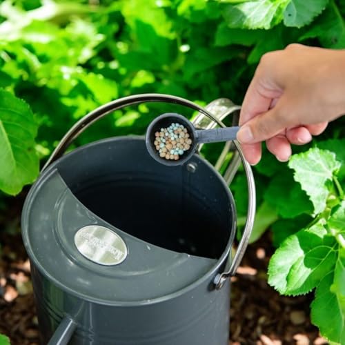 Gro-Sure All Purpose Slow Release Plant Food Dual Action Granules for Long-Lasting Blooms Slow Release Nutrients Ideal for Flowers, Fruits & Vegetables Feeds for 6 Months (1.1Kg Jar) - Image 3