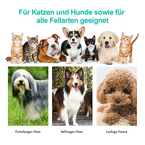Neabot Neakasa P1 Pro Hundeschermaschine mit Tierhaar Staubsauger 13000 Pa Haustierpflegeset, leise Schermaschine Hund Katze Tierhaarschneidemaschine Tierhaarentferner, 5 bewährten Pflegewerkzeugen