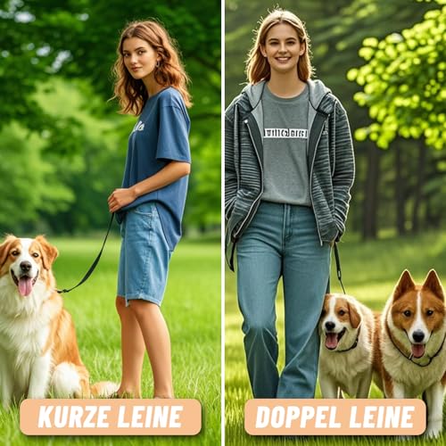 Hundeleine 2.5m Schleppleine Verstellbare Doppelleine Leichte für Kleine Mittelgroße Hunde mit 2 Karabiner für Training Outdoor Aktivitäten Schwarz