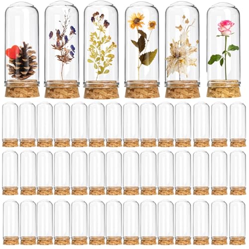 Mezchi 50 Pack 40ml Transparent Glass Cylindrical Cloche Dome Set with Cork Stoppers for Candy, DIY Art Crafts, Wedding Party Favors