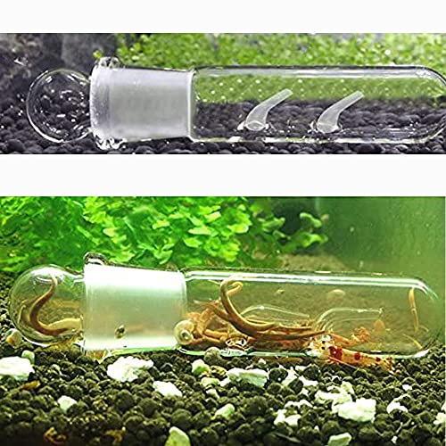 4PZ Trappola Planarie in Vetro Trasparente, Vetro di Cristallo Planario Trappola Planaria Trap Cattura Planaria per Catture Le Planarie Forniture per Pulizia Acquario (2 Fori, 3 Fori e 8 Fori) - Image 7