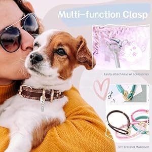 2 Pack Dog Tag Clips Pet Tag Quick Clip with Antilost Pet Id Tags Barrel Tube Stainless Steel Easy Change Pet Id Tag Holder for Dog Cat Collars Harnesses Gold  Silver  Cucciolini Doodles 2 pack dog tag clips pet tag quick clip with anti lost pet id tags barrel tube stainless steel easy change pet id tag holder for dog cat collars harnesses gold  silver   cucciolini doodles