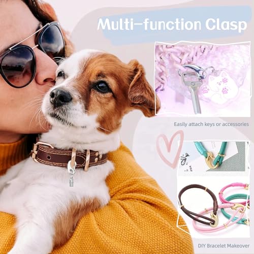 2 Pack Dog Tag Clips Pet Tag Quick Clip with Antilost Pet Id Tags Barrel Tube Stainless Steel Easy Change Pet Id Tag Holder for Dog Cat Collars Harnesses Gold  Silver  Cucciolini Doodles 2 pack dog tag clips pet tag quick clip with anti lost pet id tags barrel tube stainless steel easy change pet id tag holder for dog cat collars harnesses gold  silver   cucciolini doodles