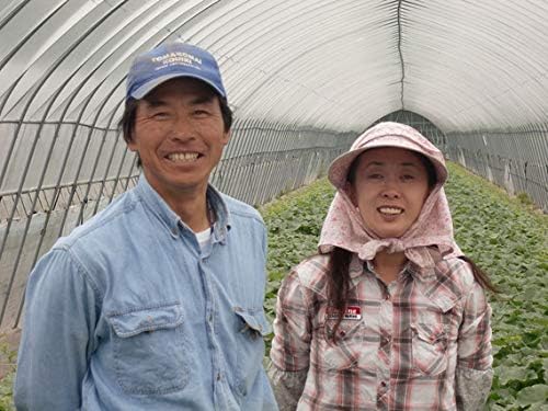 Amazon 穂別 中澤農園の減農薬赤肉メロン ネットショップむつみ屋 メロン 通販