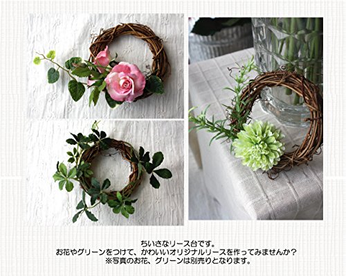 Amazon.co.jp: mini wreath 【ドライフラワー リース台 10cm 2個セット