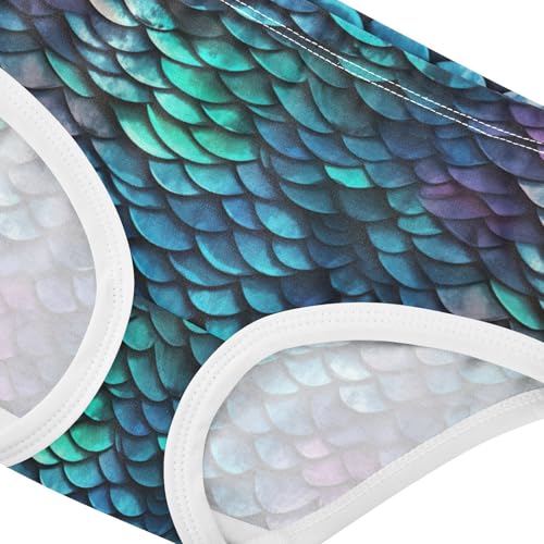 Dragon Scale Blue Purple Toddler Girls's Underwear 2T 202a30174