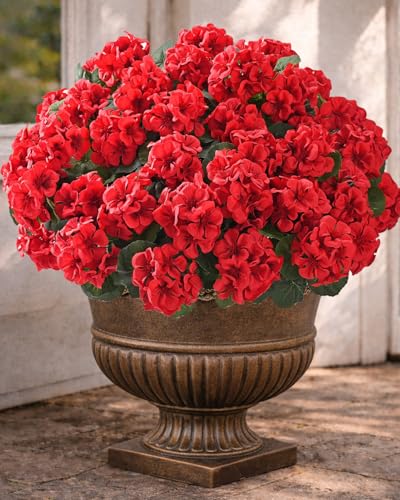 Florispera Artificial Flowers for Outdoors 6 Bundles of UV-Resistant Artificial Geraniums Realistic Silk Flowers for Front Porch Patio Garden Window Boxes & Hanging Baskets (Red 6)