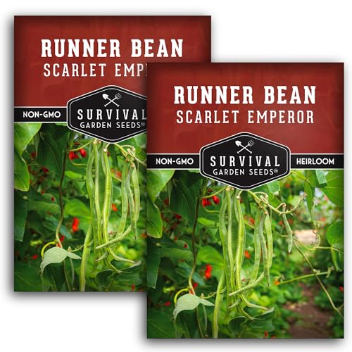 Scarlet Emperor Bean Seeds for Planting - Survival Garden Seeds (2 Pack)