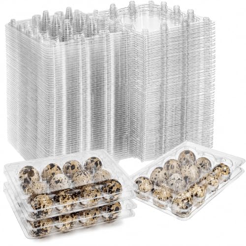 YOUEON 60 Pcs Clear Quail Egg Cartons 12 Count Plastic Egg Trays Small Egg Storage Holders with Lids Stackable Bulk Egg Boxes for Quail Pigeon Pheasant Display Refrigerator Storage