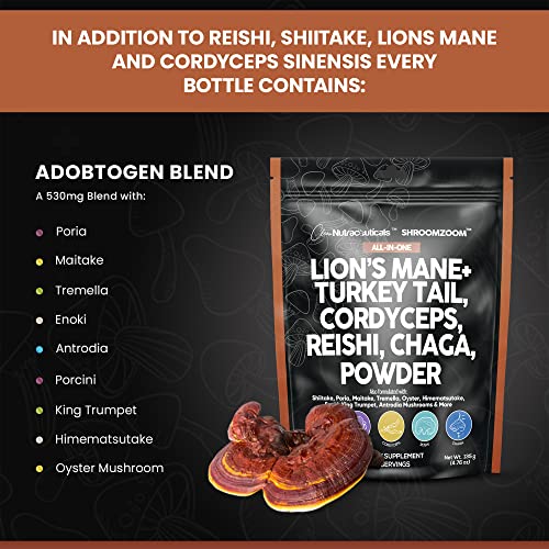 Mushroom Powder Complex Supplement with Lions Mane Mushrooms Turkey Tail Extract Cordyceps Chaga Reishi Maitake Meshima Poria Shiitake Porcini Enoki - Organic Mushroom Blend Mix - Made in USA - Image 6