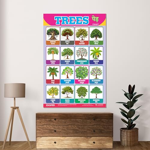 Image of ESCAPER Trees Educational Charts for Kids Learning (11.5 x 17.5 Inches), Study Material, Learning Books, Educational Posters
