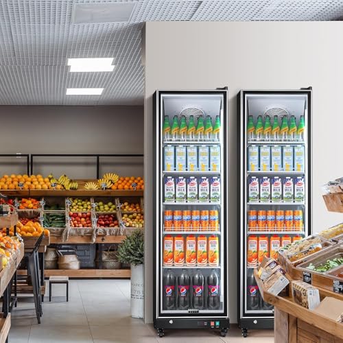 BODEGACOOLER Commercial Beverage Refrigerator with Glass Door,12.5 Cu.Ft Commercial Drink Refrigerator,Upright Large Display Merchandiser Beverage Bar Cooler with Soft LED Light,Adjustable Shelves - Image 3