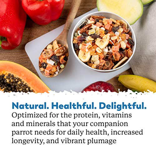 Dr. Harvey'S DRH_EXOTIC_5 Exotic Parrot Blend, Seedless Blend Of Natural Food thumb #6