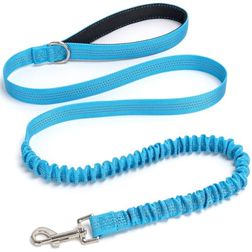 Mycicy Bungee Dog Leash- 5FT Shock Absorbing & Reflective Nylon Leash | Anti-Pull Training for Small/Medium Dogs | 2cm Wide 6 Colors (Teal)
