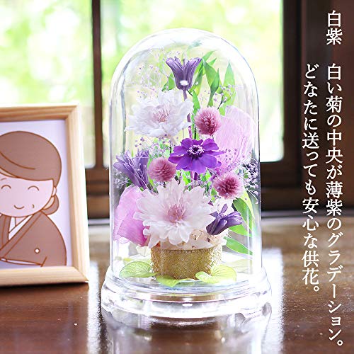 サウンドアレンジ プリザーブドフラワー 仏花 仏壇用 ドーム お供え 一対作成可 花まゆら(白紫)