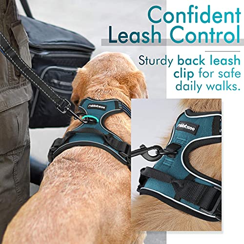 Image of rabbitgoo Dog Harness No Pull with 2 Leash Clips, Adjustable Soft Padded, Reflective Oxford No Choke Pet Vest with Easy Control Handle for Small Dogs, Blue Coral, S
