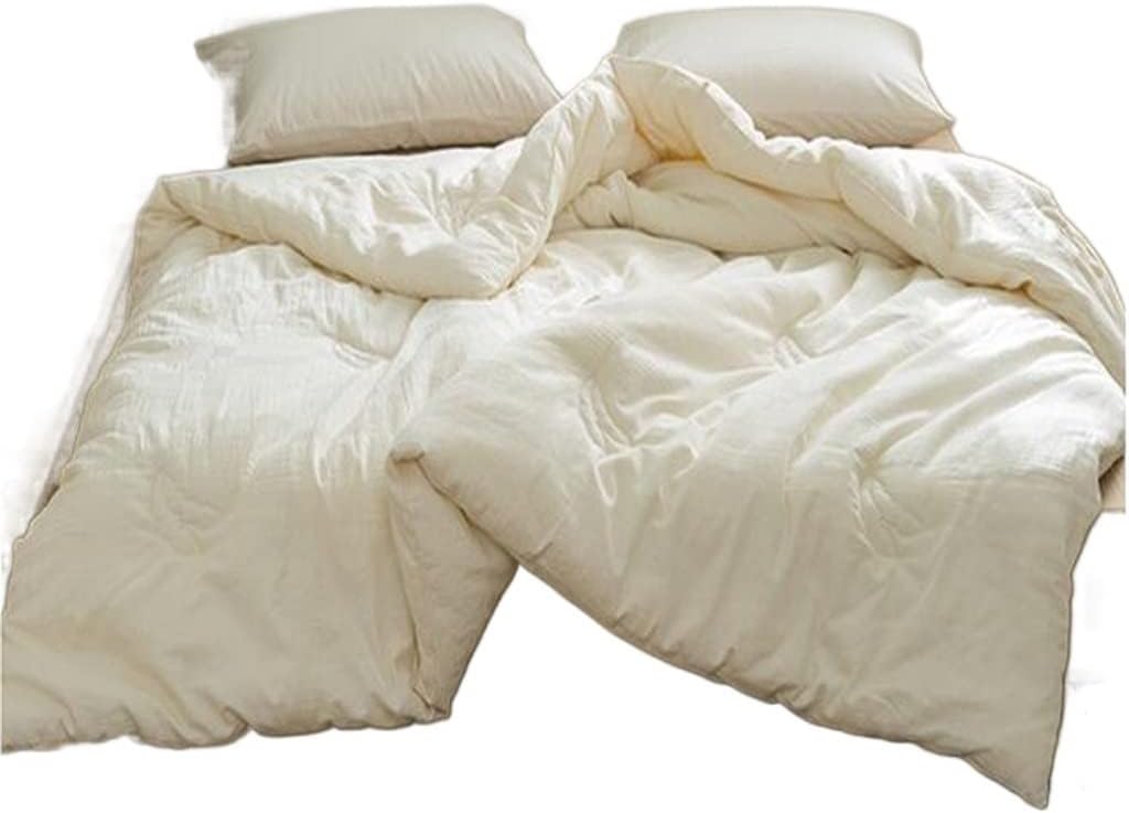 RENSLAT Quilt Core Soybean Fiber Quilt Winter Quilt Cotton