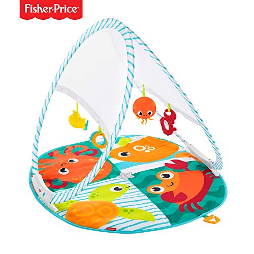 fisher price ocean activity gym