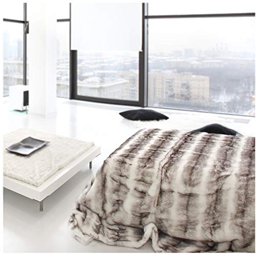 Best Cyber Deals 🔥 Double Sided Faux Fur Throw Blanket Silky Soft Oversized Afghan Machine Washable, Grey Striped Mink Chinchilla Shadow Fox 55 by 70 Inch (Light Gray)