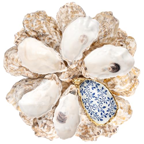 LAMIVORA 30Pcs 3-4 Inch Concave Oyster Shells for Crafts