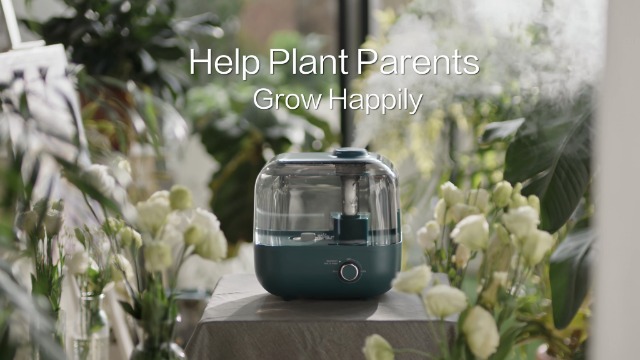 Bear 5L Cool Mist Humidifier For Bedroom - Up To 35 Hours, Quiet, Top Fill, With Auto Shut-Off