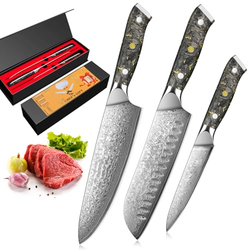 Home Safety Damascus Knife Set 3 PCS I Professional Univeral Chef's Santoku Knife I Damascus Kitchen Knife I 67 Layers of VG-10 Damascus Steel I Kitchen Cooking Knife, Gift Box